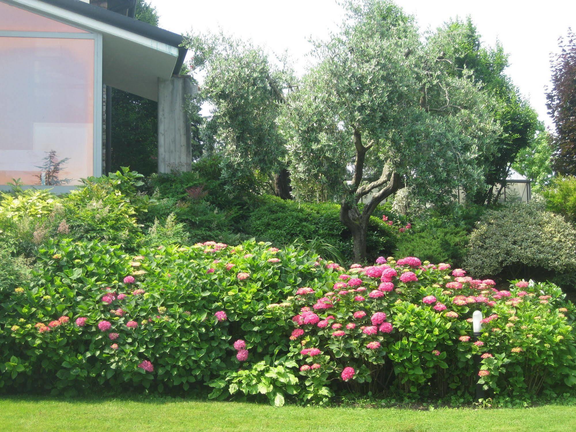 B&B Villa Adriano เดเซนซาโนเดลการ์ดา ภายนอก รูปภาพ